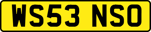 WS53NSO