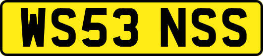 WS53NSS