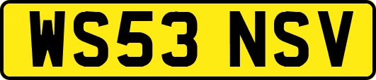 WS53NSV