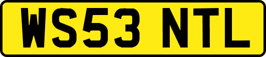 WS53NTL