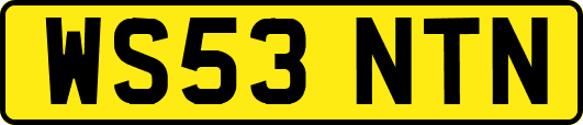 WS53NTN