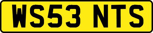 WS53NTS