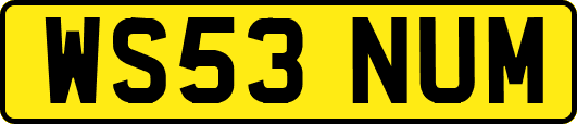 WS53NUM