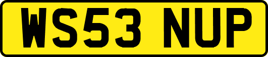 WS53NUP