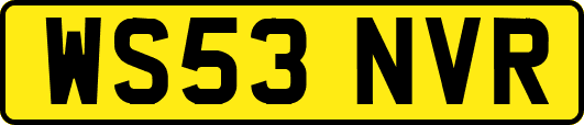 WS53NVR