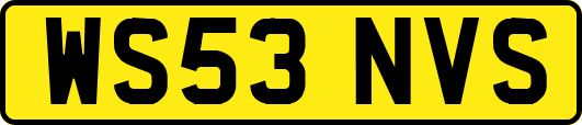 WS53NVS