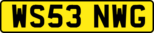 WS53NWG