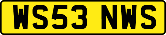 WS53NWS