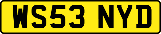 WS53NYD