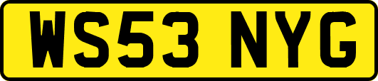 WS53NYG
