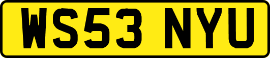 WS53NYU