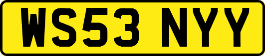WS53NYY