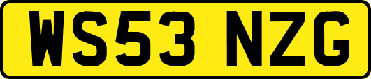 WS53NZG