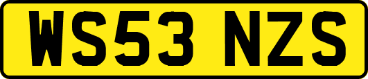 WS53NZS