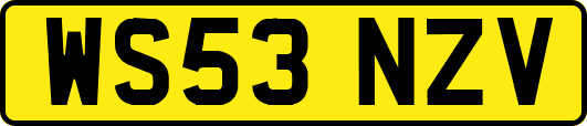 WS53NZV