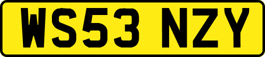 WS53NZY