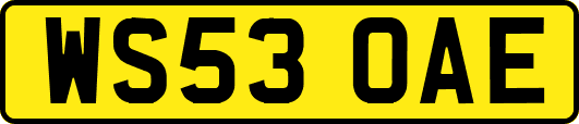 WS53OAE