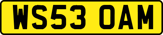 WS53OAM