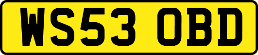 WS53OBD