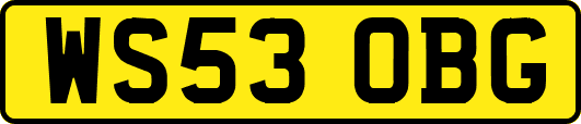 WS53OBG