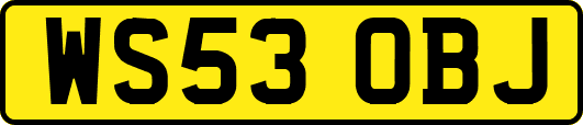 WS53OBJ