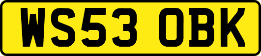 WS53OBK