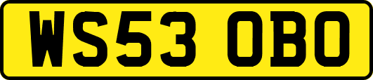 WS53OBO