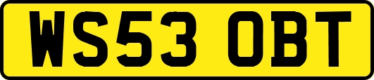 WS53OBT