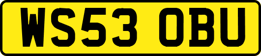 WS53OBU