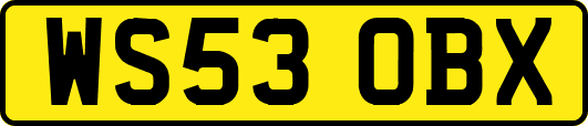 WS53OBX