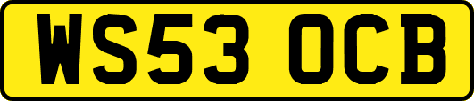 WS53OCB