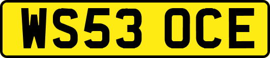 WS53OCE