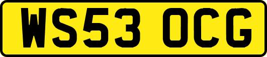 WS53OCG