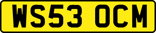 WS53OCM