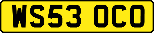 WS53OCO