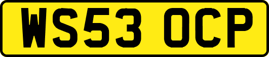 WS53OCP