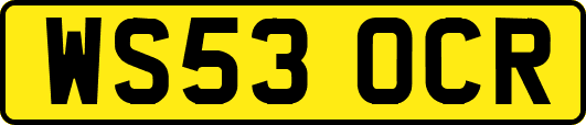 WS53OCR