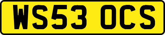 WS53OCS