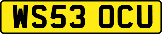 WS53OCU