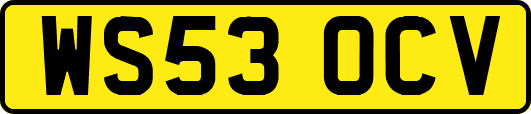 WS53OCV