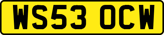 WS53OCW