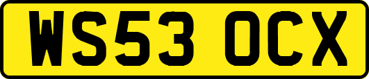 WS53OCX