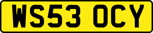 WS53OCY