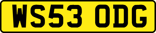 WS53ODG