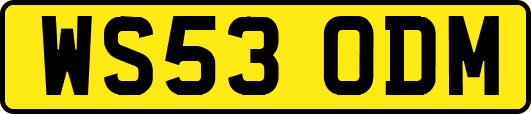 WS53ODM