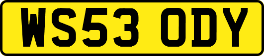 WS53ODY