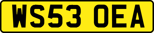 WS53OEA