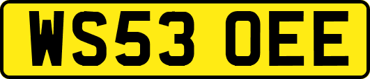 WS53OEE