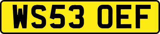 WS53OEF