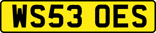WS53OES
